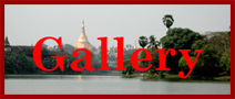 Myanmar Tribal Beads Gallery
